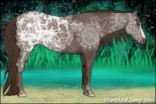 Horse Color:Liver Chestnut Ice 