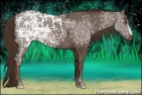 Horse Color:Liver Chestnut Ice 
