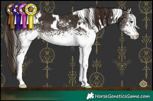 Horse Color:White Spotted Liver Chestnut 