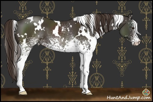 Horse Color:White Spotted Liver Chestnut 