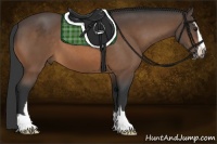 Horse Color:Buckskin Sabino
