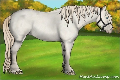 Horse Color:Smoky Creme Roan Dun