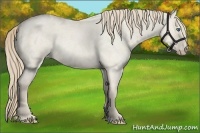 Horse Color:Smoky Creme Roan Dun 
