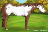 Horse Color:Chestnut Frame