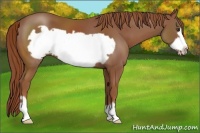 Horse Color:Chestnut Frame