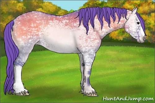 Horse Color:Watercolor Grullo Ice Onyx