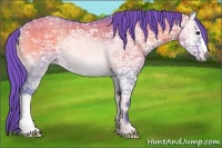 Horse Color:Watercolor Grullo Ice Onyx 