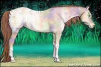 Horse Color:Nacre Buckskin Ice Pearl Onyx 