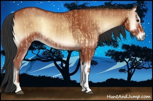 Horse Color:Bay Onyx and Bay Onyx