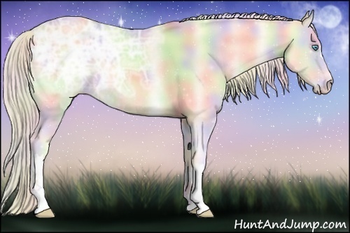Horse Color:Nacre Cremello Ice Onyx 