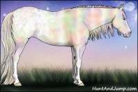 Horse Color:Nacre Cremello Ice Onyx