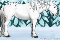 Horse Color:Liver Red Roan Snowflake Varnish