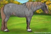 Horse Color:Liver Red Roan Varnish 