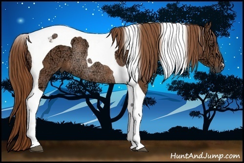 Horse Color:Chestnut Ice Tobiano Rabicano 