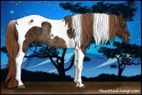 Horse Color:Chestnut Ice Tobiano Rabicano