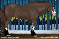 Horse Color:Liver Chestnut Sabino