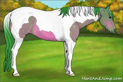Horse Color:Watercolor Bay Tobiano