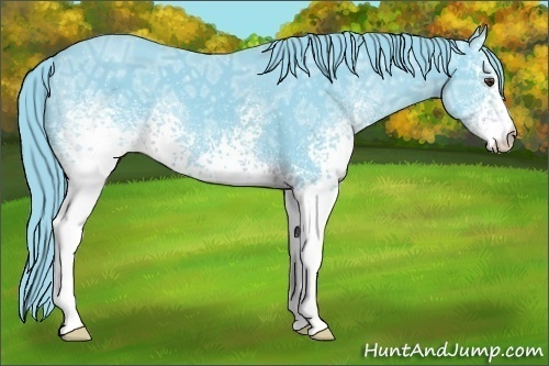 Horse Color:Watercolor White Spotted Liver Chestnut Ice