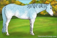 Horse Color:Watercolor White Spotted Liver Chestnut Ice 