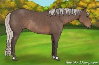Horse Color:Silver Black Rabicano 