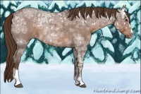 Horse Color:Liver Red Ice Roan Sabino 