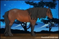 Horse Color:Bay and Bay