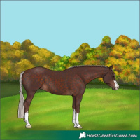 Horse Color:Chocolate Silver Brown