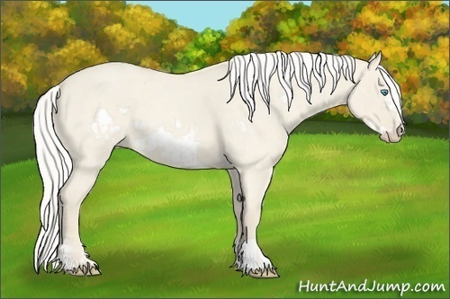 Horse Color:Silver Smoky Creme Roan Dun  and Silver Smoky Creme Roan Dun Frame 