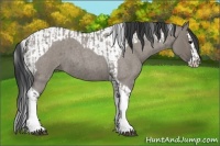 Horse Color:Grullo Roan Tobiano  and Grullo Roan Splash Tobiano 