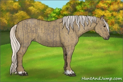 Horse Color:Silver Grullo and Silver Smoky Grullo