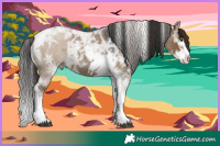 Horse Color:Liver Red Dun Ice Roan Splash Tobiano and Gray Liver Red Dun Ice Roan Splash Tobiano