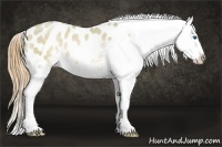 Horse Color:Watercolor Buckskin Pearl Splash Blanket 