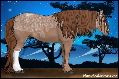 Horse Color:Chestnut Ice 