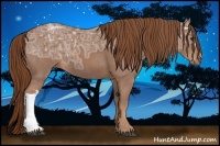 Horse Color:Chestnut Ice 