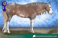 Horse Color:Liver Chestnut Ice Splash Rabicano 