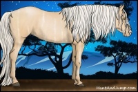 Horse Color:Silver Bay Ice Pearl Rabicano 