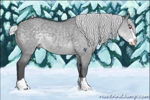 Horse Color:Silver Grullo Chinchilla Splash 