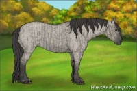 Horse Color:Smoky Grullo Roan  and Smoky Grullo Roan 