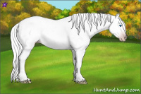 Horse Color:Gray Silver Amber Cream Champagne Roan Dun Splash Tobiano Frame Appaloosa Rabicano 