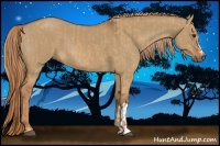 Horse Color:Red Dun and Red Dun