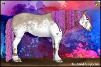 Horse Color:Painted Liver Red Dun Roan Splash Frame