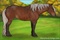Horse Color:Silver Brown  and Gray Silver Brown 