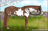 Horse Color:White Spotted Chestnut Frame 