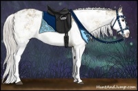 Horse Color:Silver Bay Dun Sabino Splash