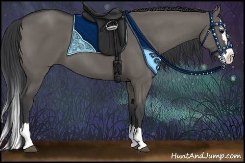 Horse Color:Grullo Sabino Splash
