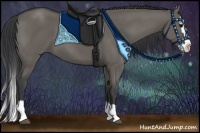 Horse Color:Grullo Sabino Splash