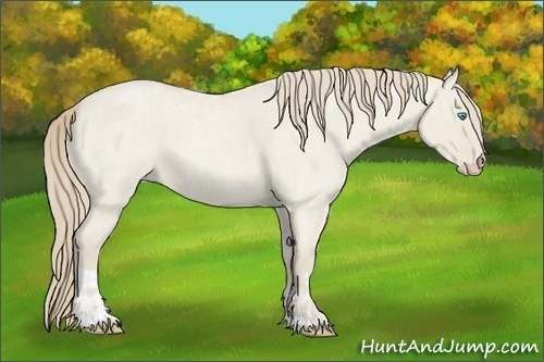 Horse Color:Smoky Creme Roan Dun  and Smoky Creme Roan Dun 