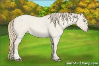 Horse Color:Smoky Creme Roan Dun  and Smoky Creme Roan Dun 