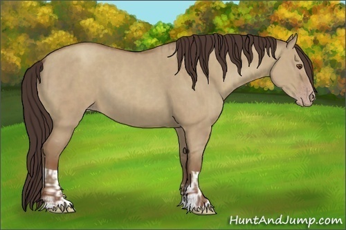 Horse Color:Classic Champagne Dun and Classic Champagne Dun