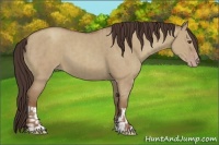 Horse Color:Classic Champagne Dun and Classic Champagne Dun